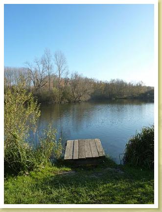 Ecourt_10.11.2011 (10)